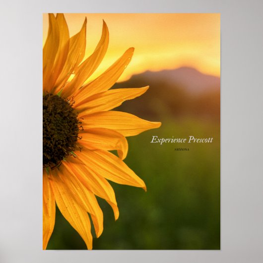 横目でのプレスコット体験 ポスター (正面)