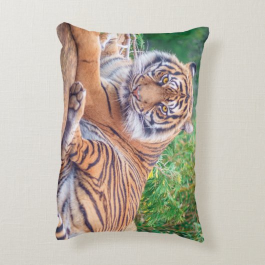 横素晴らし倒し虎の写真 アクセントクッション (裏面(縦))