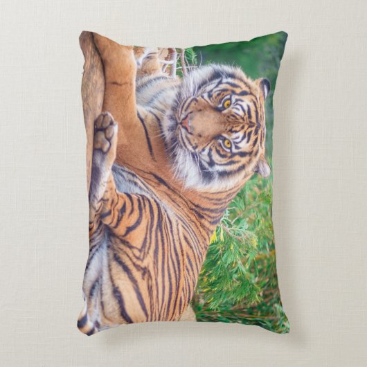 横素晴らし倒し虎の写真 アクセントクッション (正面(垂直))