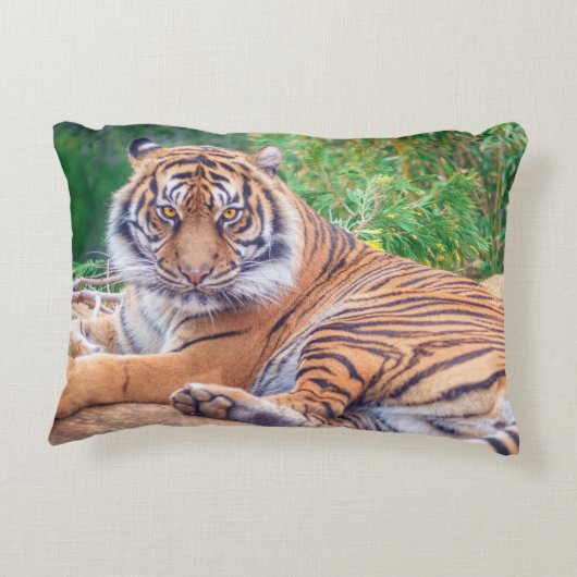 横素晴らし倒し虎の写真 アクセントクッション (裏面)
