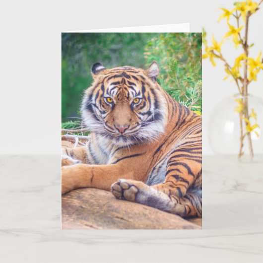 横素晴らし倒し虎の写真 カード (黄色い花)
