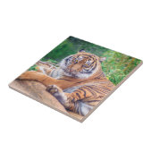 横素晴らし倒し虎の写真 タイル (側面)