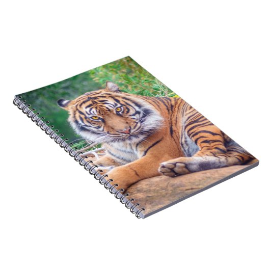 横素晴らし倒し虎の写真 ノートブック (右側)