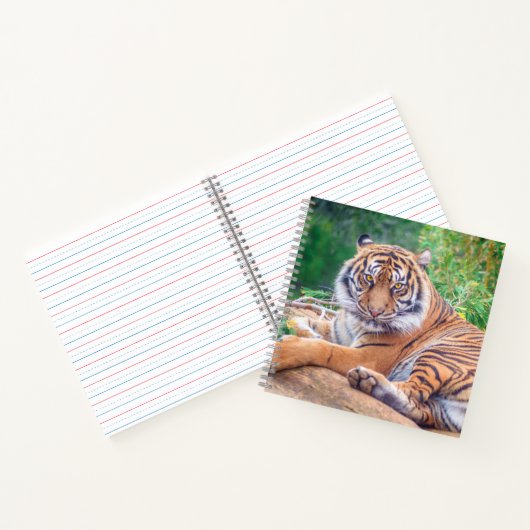 横素晴らし倒し虎の写真 ノートブック (内部)