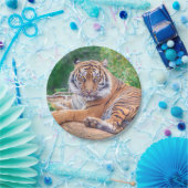 横素晴らし倒し虎の写真 ペーパープレート (パーティー)