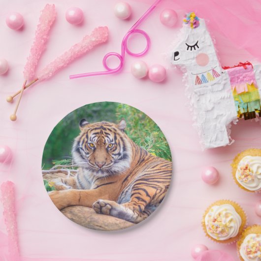 横素晴らし倒し虎の写真 ペーパープレート (パーティー)