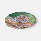 横素晴らし倒し虎の写真 ペーパープレート (アングル)