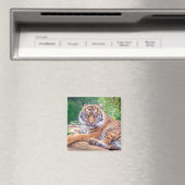 横素晴らし倒し虎の写真 マグネット (インサイチュ (食洗機))