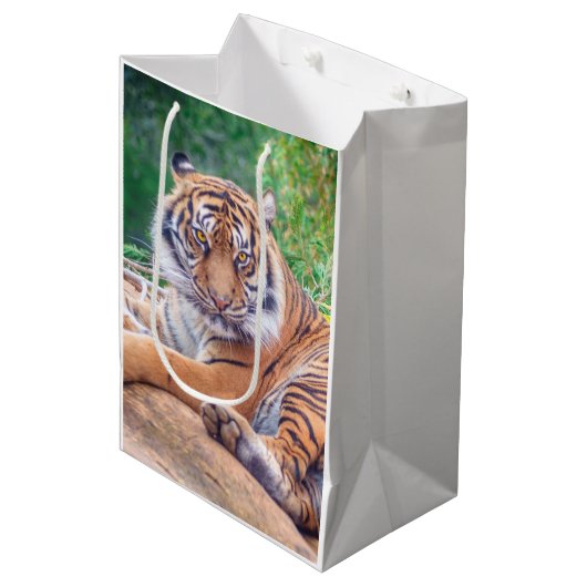 横素晴らし倒し虎の写真 ミディアムペーパーバッグ (正面アングル)