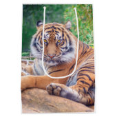 横素晴らし倒し虎の写真 ミディアムペーパーバッグ (裏面)