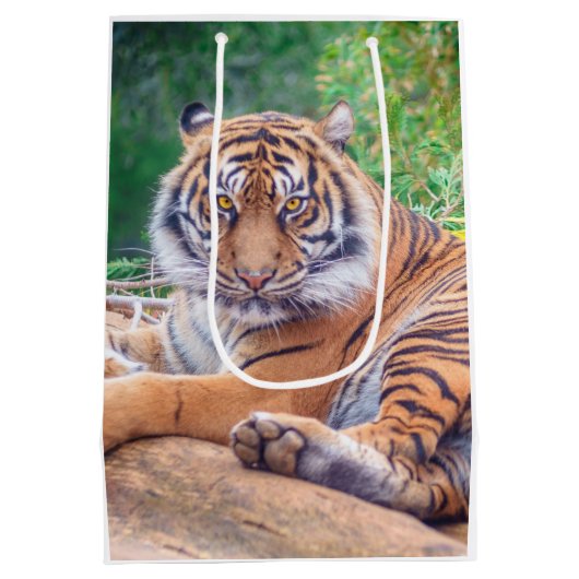 横素晴らし倒し虎の写真 ミディアムペーパーバッグ (裏面)