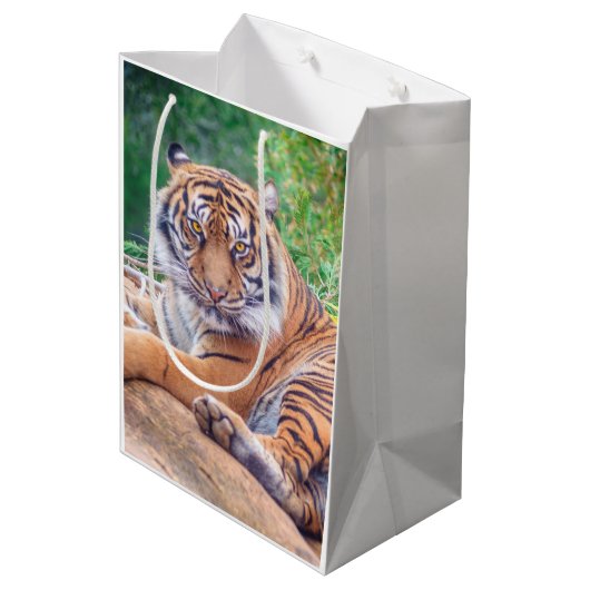横素晴らし倒し虎の写真 ミディアムペーパーバッグ (裏面アングル)