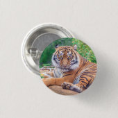 横素晴らし倒し虎の写真 缶バッジ (正面&裏面)