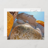 横臥仏 ポストカード (正面/裏面)