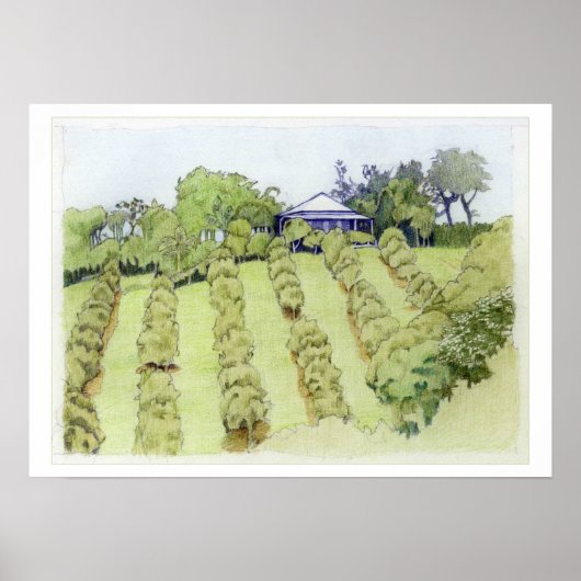 横長 ポスター (正面)