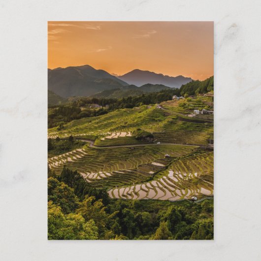 横長 ポストカード (正面)