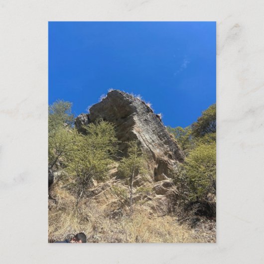 横長 ポストカード (正面)