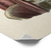 横隔膜筋ヒト解剖学ヴィンテージプリント ポスター (角)