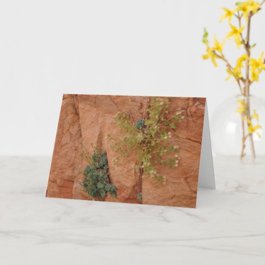 横 カード (黄色い花)