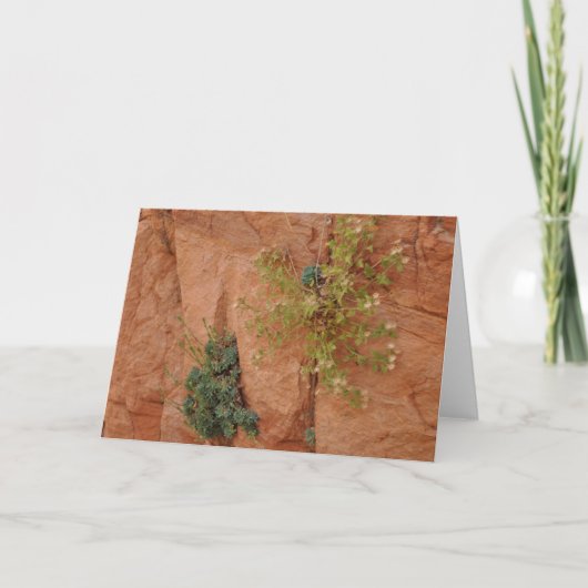 横 カード (正面)