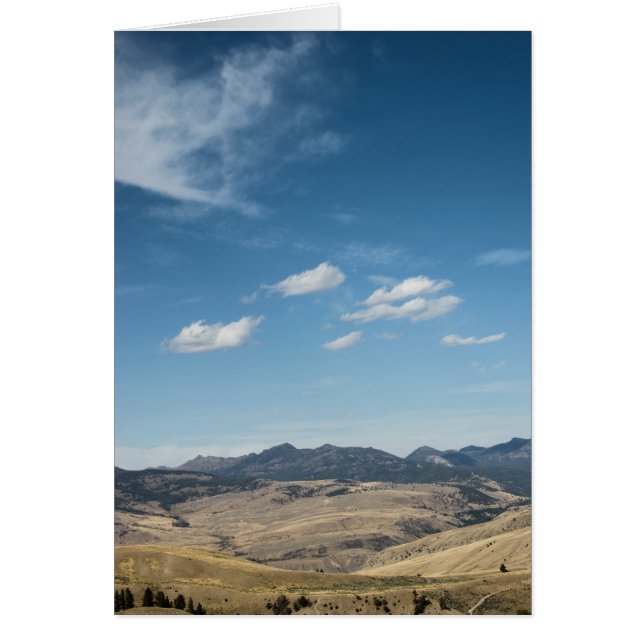 横#P4138カード (正面)