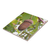 樫の木の強いどんぐり タイル (側面)