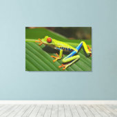 樹上蛙 キャンバスプリント (インサイチュ (ウッドフロア))