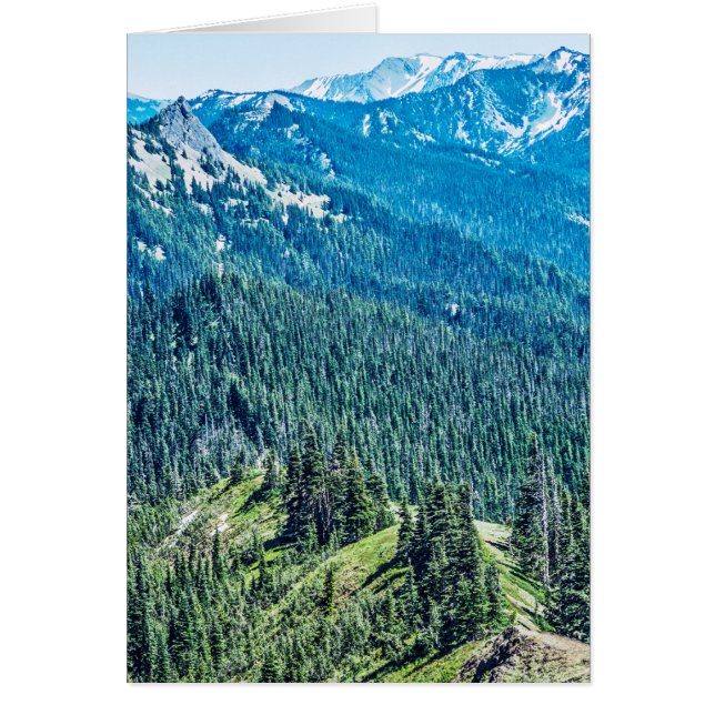 樹木と畝 (正面)