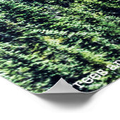 樹木と畝 ポスター (角)