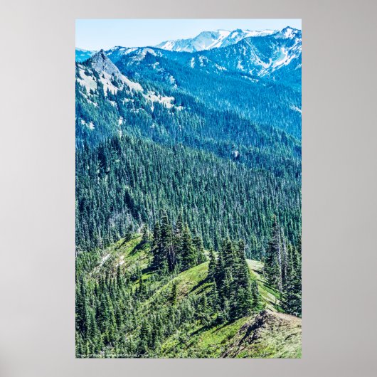 樹木と畝 ポスター (正面)