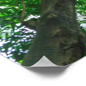 樹木の上方表示 ポスター (角)