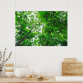 樹木の上方表示 ポスター (キッチン)