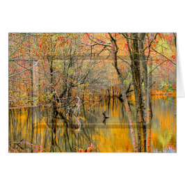 樹木の反射/水WETLANDSコレクション – 空白の