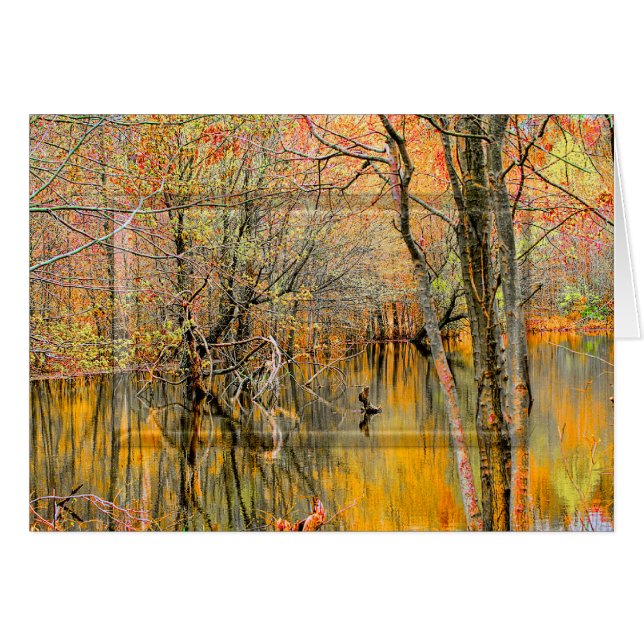 樹木の反射/水WETLANDSコレクション – 空白の (正面横)