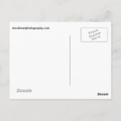 樹木の流れ ポストカード (裏面)