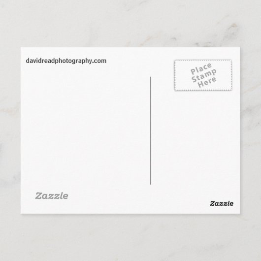 樹木の流れ ポストカード (裏面)