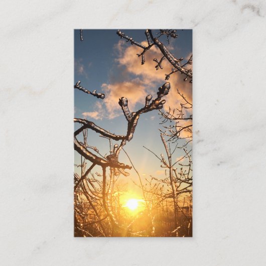 樹木の肢氷柱 名刺 (正面)