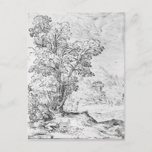 樹木の茂った風景 ポストカード (正面)