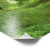 樹木の間のパス10 x 8写真プリント フォトプリント            (角)