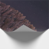 樹木の風景写真 ラッピングペーパー (角)