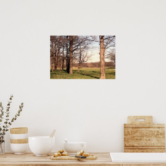 樹木の風景 ポスター (キッチン)