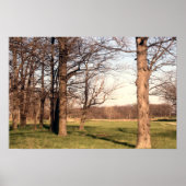 樹木の風景 ポスター (正面)