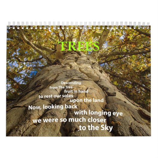 樹木カレンダー カレンダー (カバー)