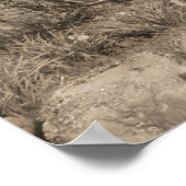 樹木付きオールドミル – スコットランド ポスター (角)