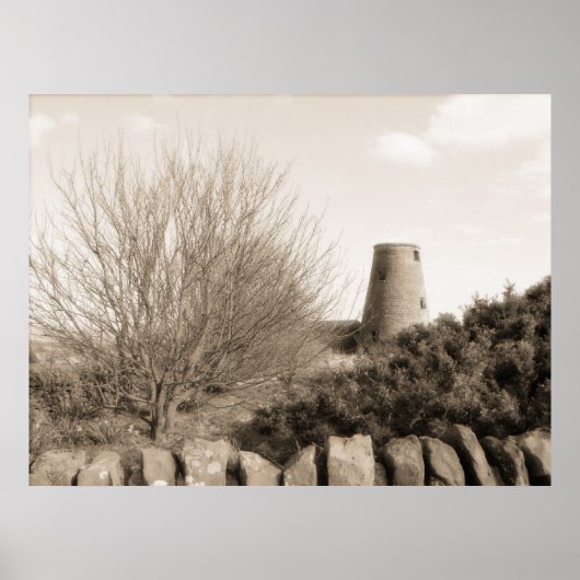 樹木付きオールドミル – スコットランド ポスター (正面)