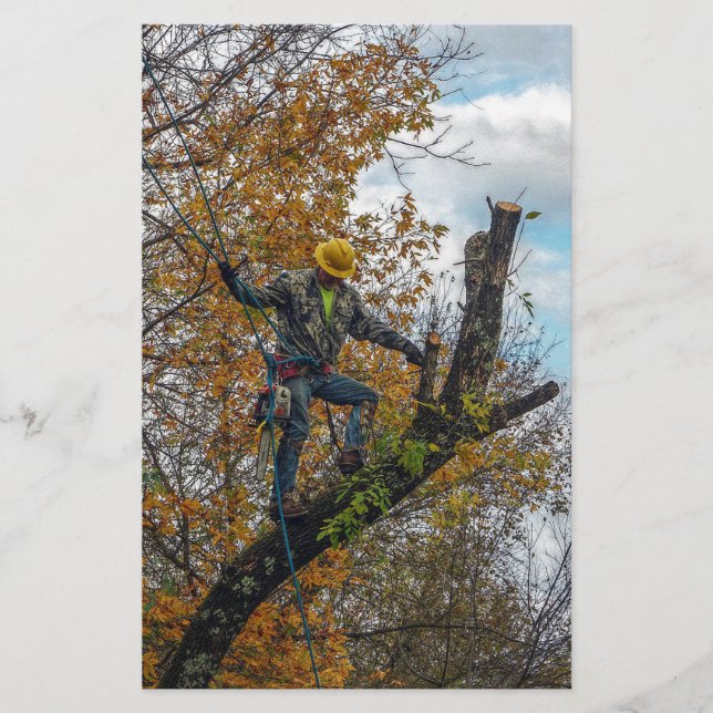 樹木外科医 (正面)