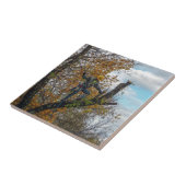 樹木外科医 タイル (側面)