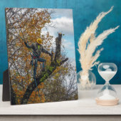 樹木外科医 フォトプラーク (側面)