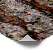 樹木樹皮 ポスター (角)