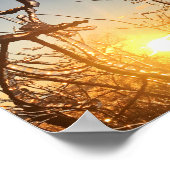 樹木肢氷柱 ポスター (角)